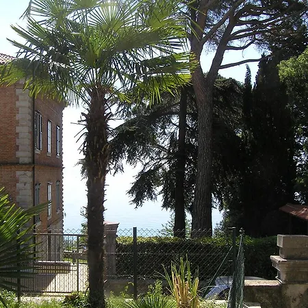 Studio Mir
